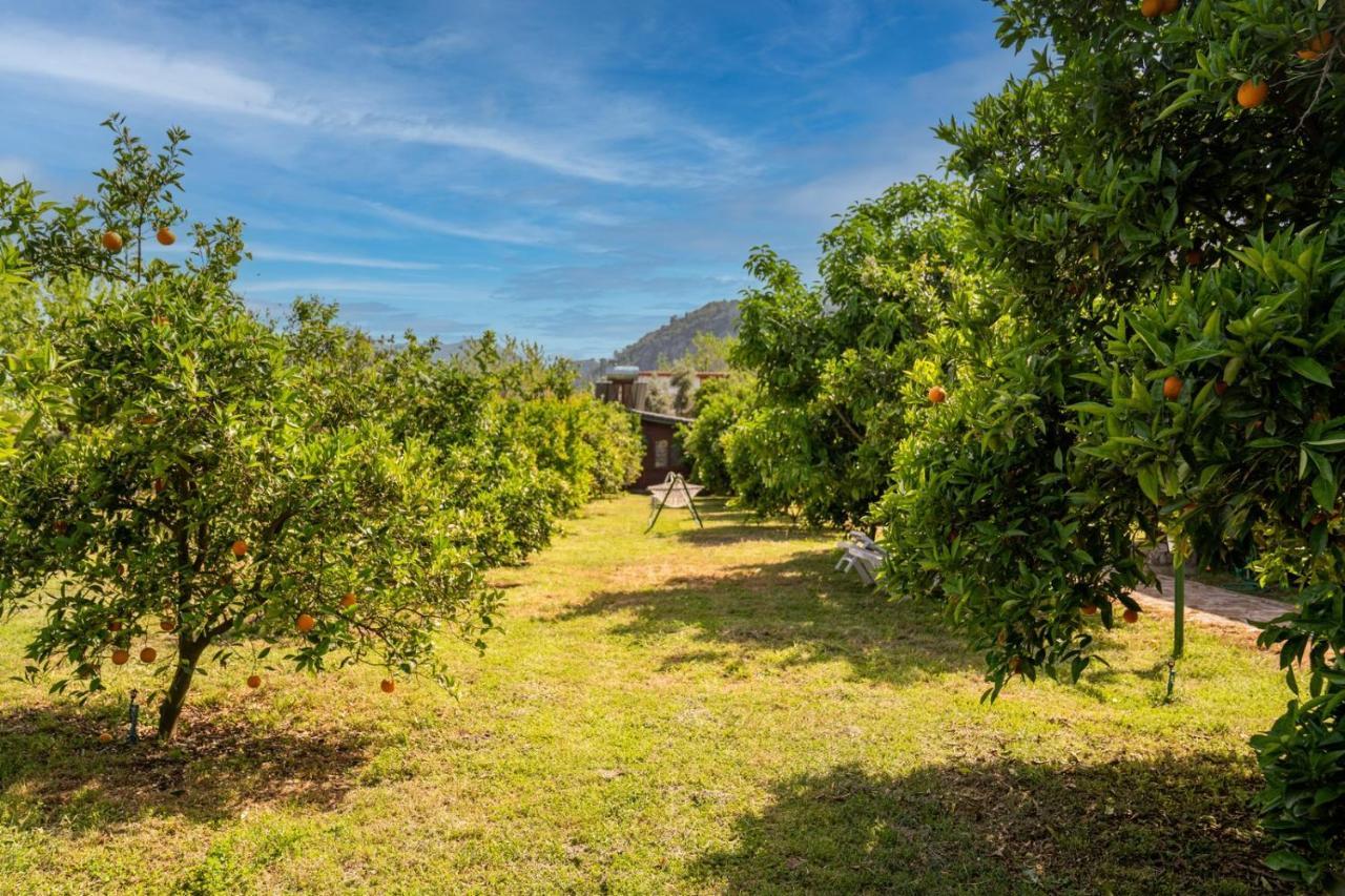 Ikiz Villas Cirali Bagian luar foto