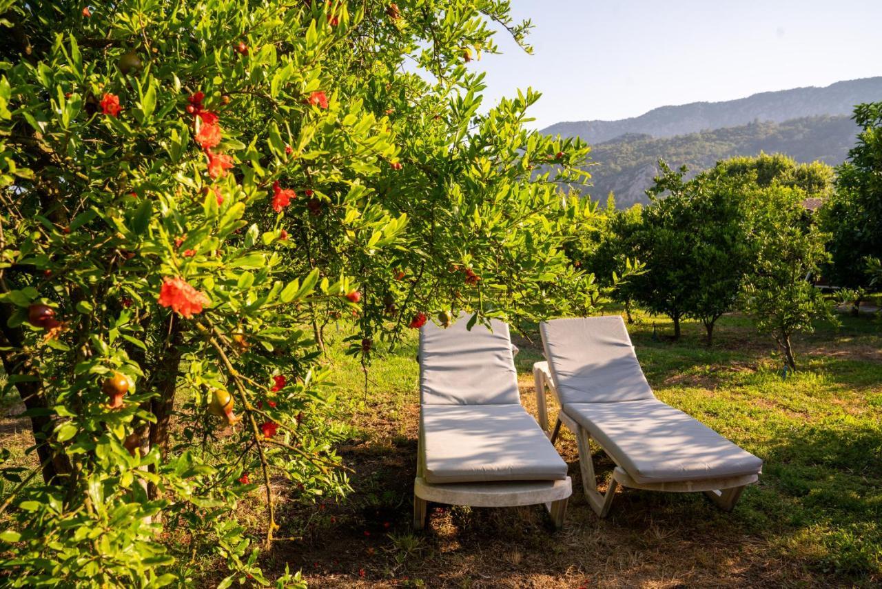 Ikiz Villas Cirali Bagian luar foto